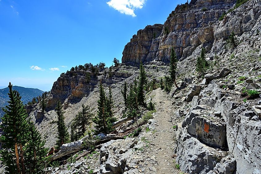 A narrow section of North Loop Trail leads to the summit of Mount Charleston in Spring Mountains National Recreation Area near Las Vegas, Nevada