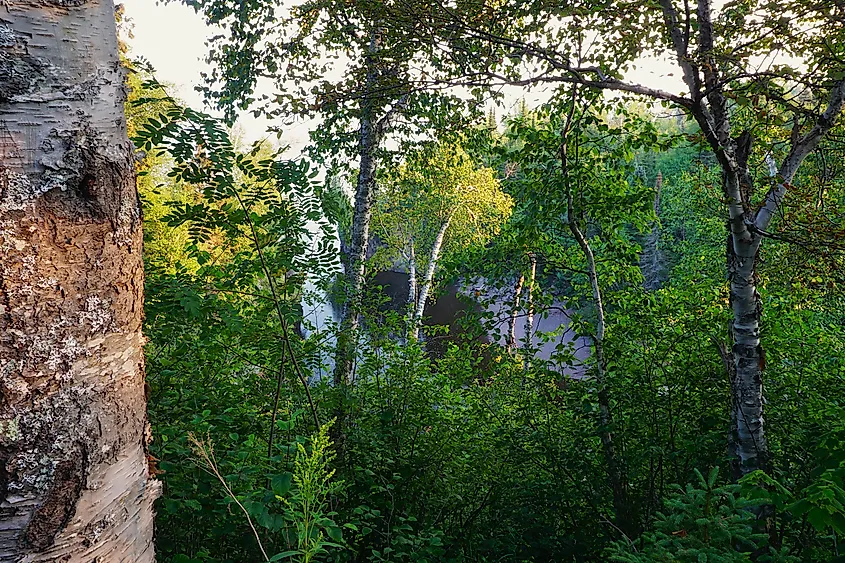 Temperance River State Park