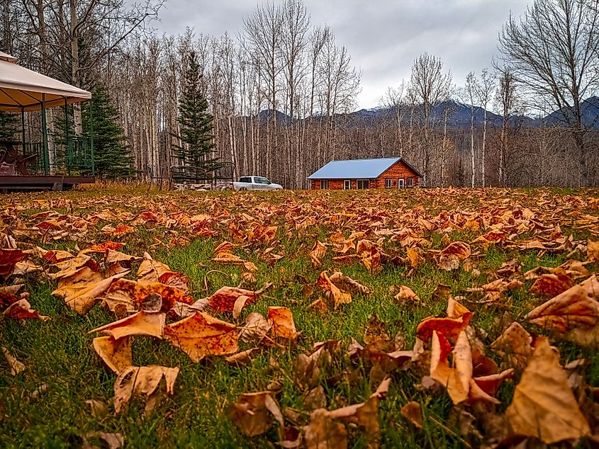 Cabin in Palmer, Alaska.