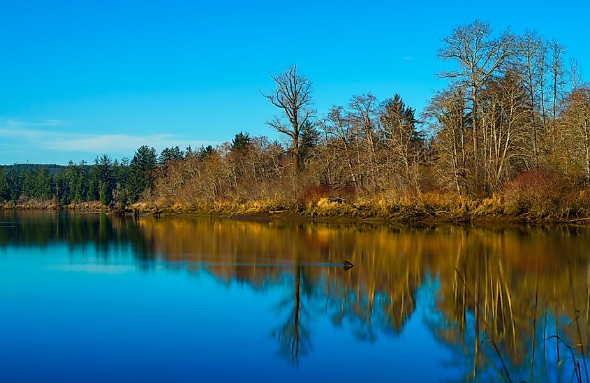 Preachers Slough, Chehalis River, Montesano, Washington State, USA