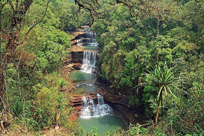 List of 5 Countries with Largest Forests in the World, by Yanuar Hadi