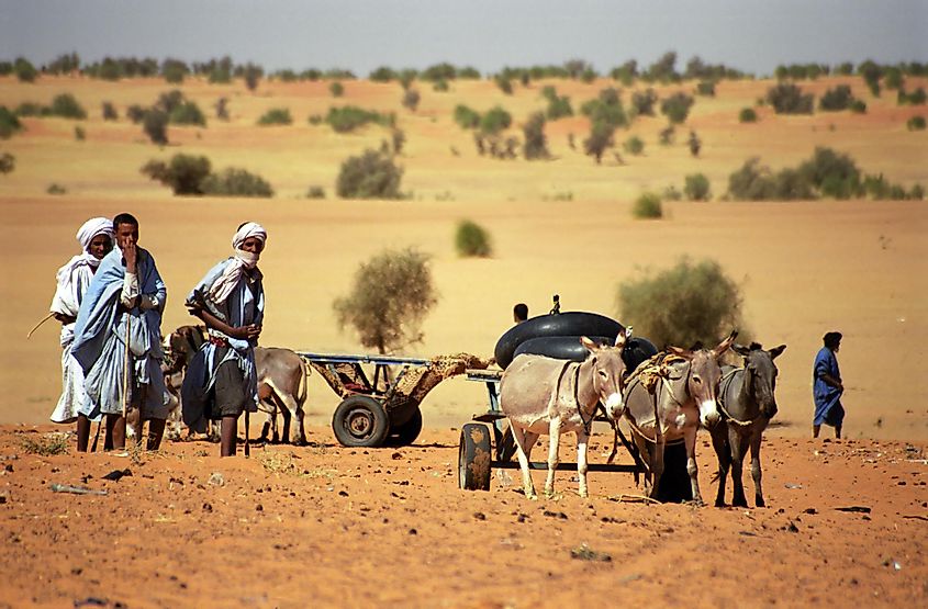 Mali desert life
