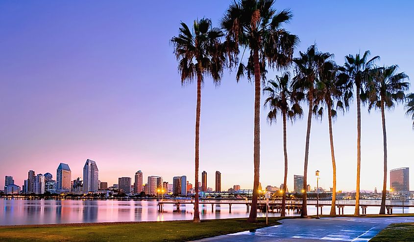 California beach and palm trees with San Diego in the background