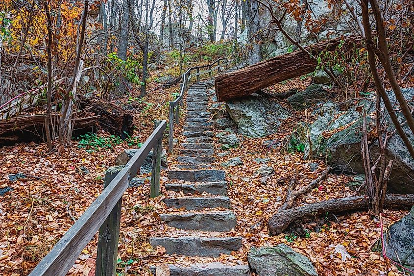 A stair path in the Sugarloaf Mountains in the fall.