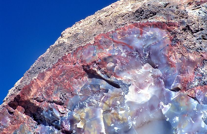 Petrified Wood at Petrified Forest National Park, Arizona