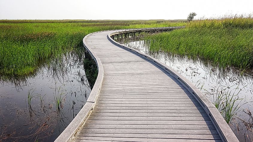 Boardwalk at the Sabine National Wildlife Refuge.