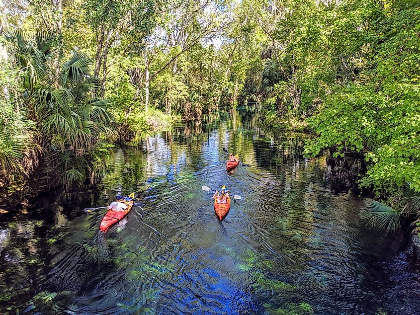 Kayaking in Silver Springs, Florida