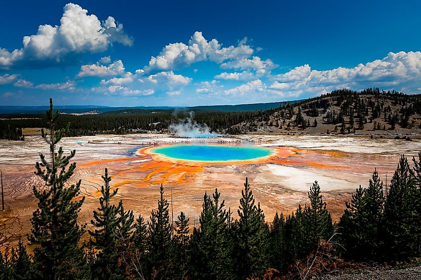 Grand Prismatic Spring view at Yellowstone National Park.