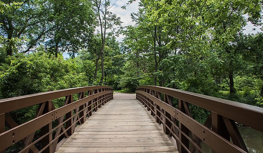Elevated pedestrian footbridge crossing with lush greenery in the natural reserve in Naperville, Illinois
