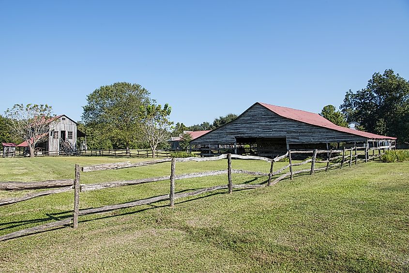 Farm Buildings on Working Louisiana Cotton Plantation