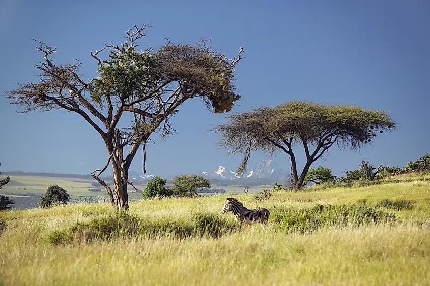 Mount Kenya