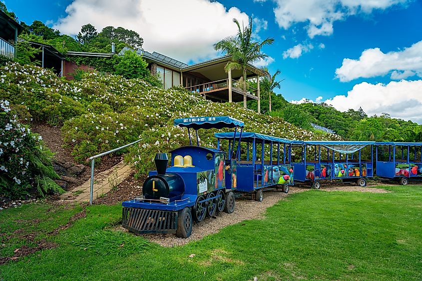 Beautiful landscapes at Maleny Botanic Gardens in Maleny, Queensland, Australia