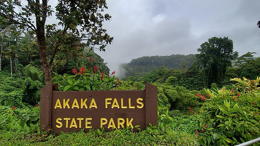 Akaka Falls state park Hawaii