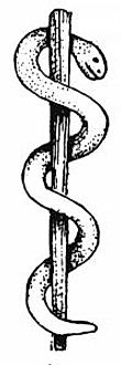 The Rod of Asclepios, or the Staff of Asclepios, universally adopted sign of Medical Science, via the University of Florida, School of Medicine.