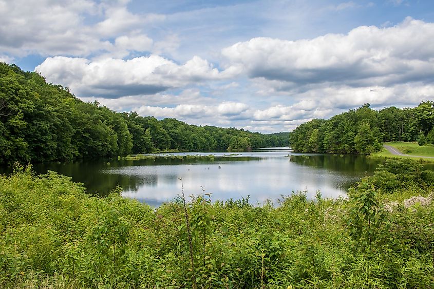 West Hartford Reservoir on a summer day