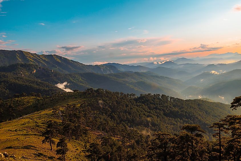 Beautiful forest and mountains at sunset in Turkey. 