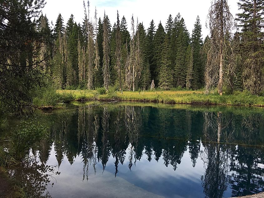 North Arm of Timothy Lake