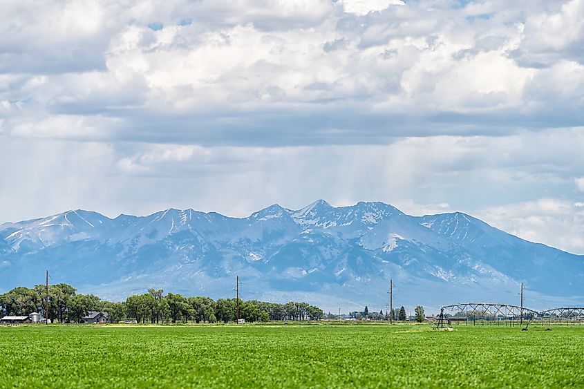 Farmland near Monte Vista, Colorado