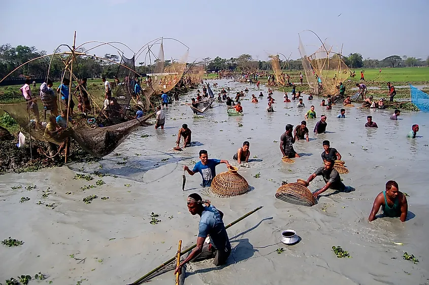 Bangladesh fish