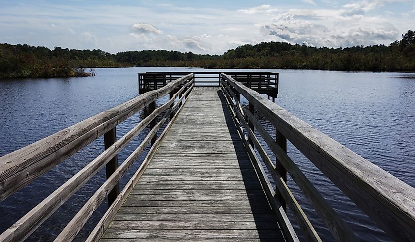 Dock overlooking the water at Prime Hook National Wildlife Refuge in Milton, Delaware.