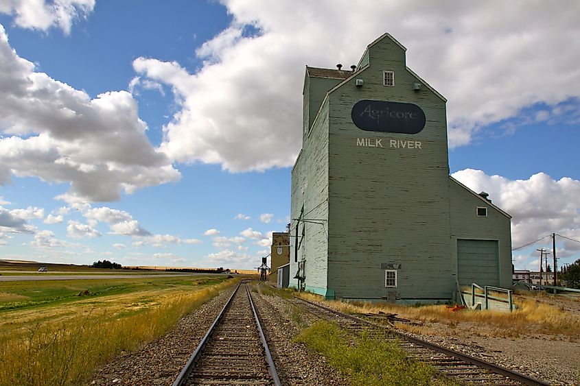 Grain elevators in the town of Milk River, Alberta.