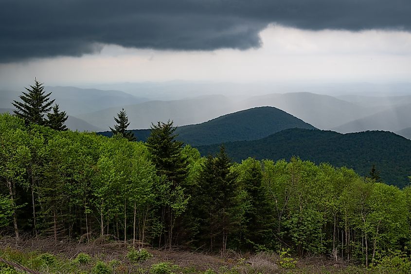 A view of the Green Mountain National Forest in Vermont. 