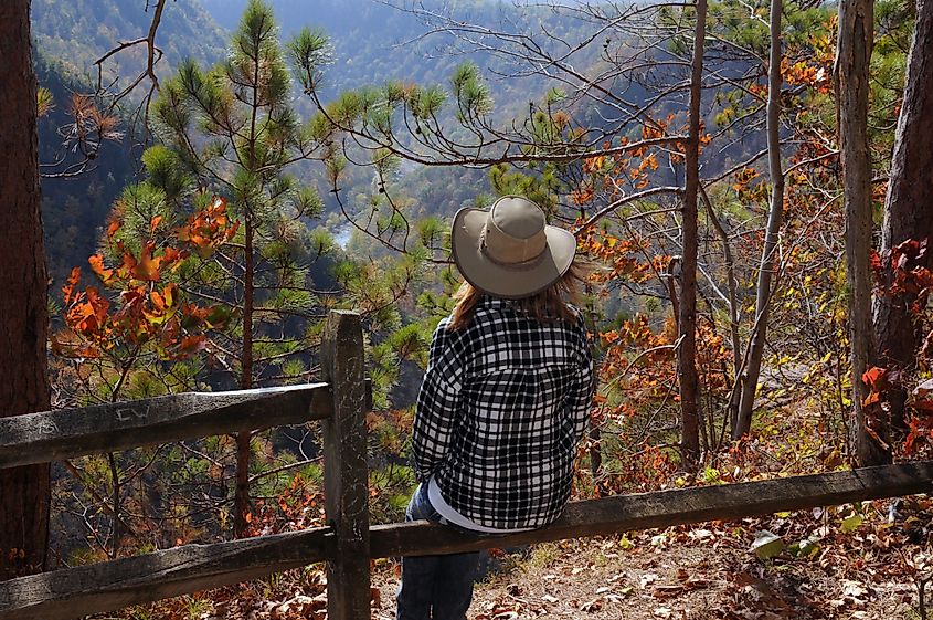 Grand Canyon of Pennsylvania, Pine Creek Gorge, Barbour Rock Trail. Editorial Photo Credit:gstraub Shutterstock. 