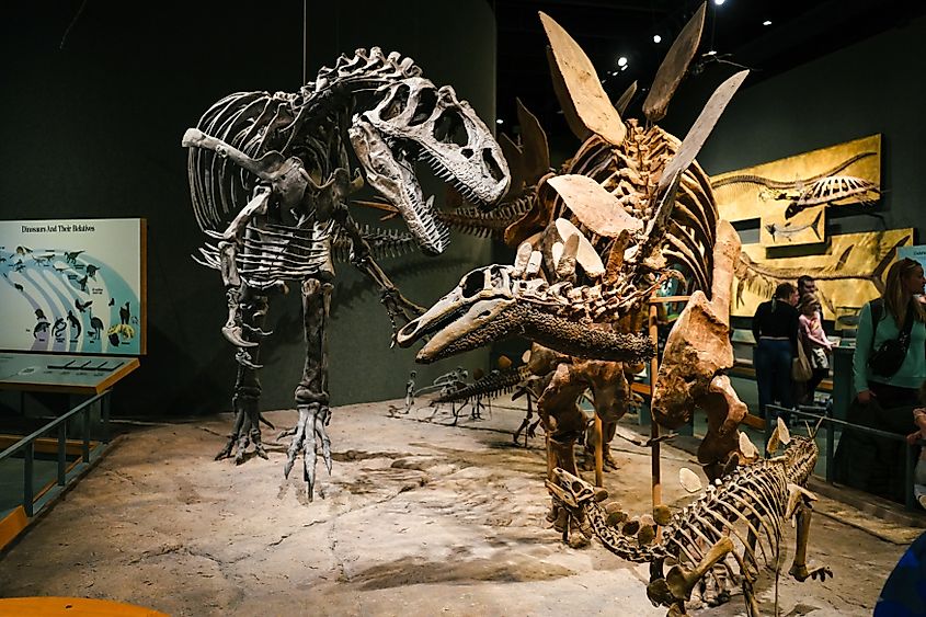 The Denver Museum of Nature and Science in Colorado.