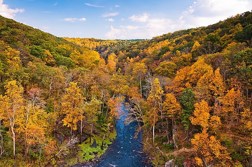 Beautiful Autumn Colors at Prettyboy Reservior, Maryland.