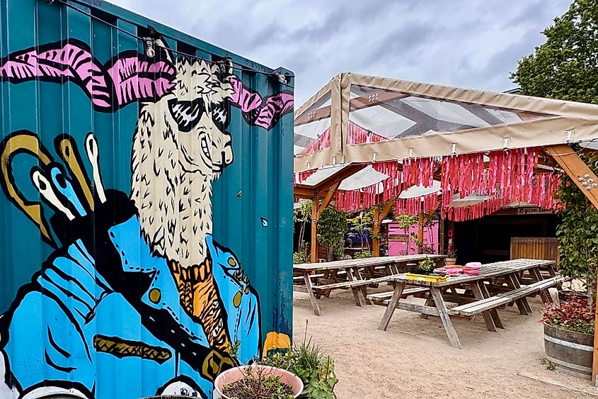 Electric Daisy mural in Derby. Image credit: Bryan Dearsley