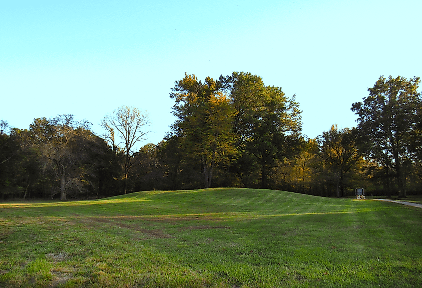 Mound 72, site of the famous "Birdman burial." Situated at southern edge of Grand Plaza.