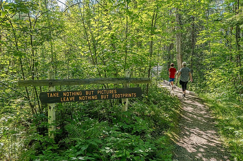 Itasca State Park in Minnesota