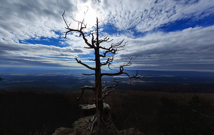 Mount Magazine State Park near Paris, Arkansas.