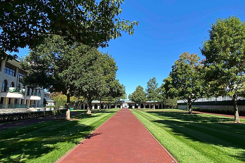 Keeneland Paddock image credit Bryan Dearsley