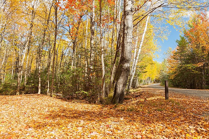 Umbagog Lake State Park in the autumn.