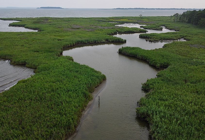 Editorial Photo Credit: Alexander Ryan Thompson via Shutterstock. Drone photo at the Chesapeake Bay Environmental Center, 510 acres of protected salt marsh on Maryland's eastern shore. An inlet winds its way through the tall grass of the marsh