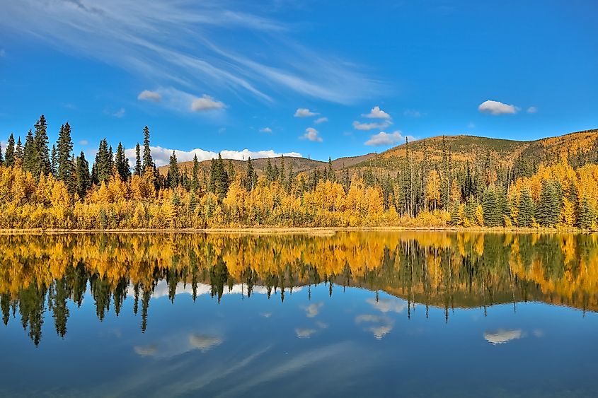Panoramic view of 48 Mile Pond, Chena River State Park, Alaska.