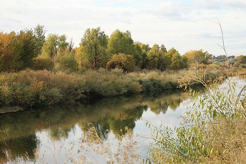 Autumn on the weiser river.