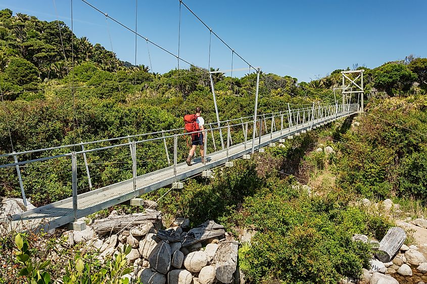 Heaphy Track great walk, Kahurangi National Park, New Zealand