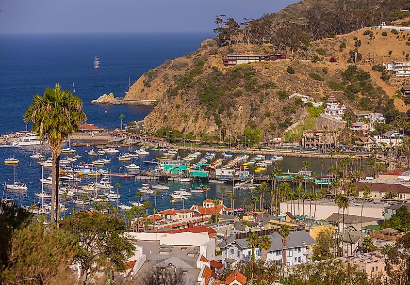 Harbor and town of Avalon, Santa Catalina Island