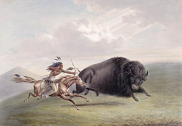 A bison hunt depicted by George Catlin. George Catlin - Library and Archives Canada (LAC), Reference Number: 1989-292-5 or MIKAN ID: 2833501