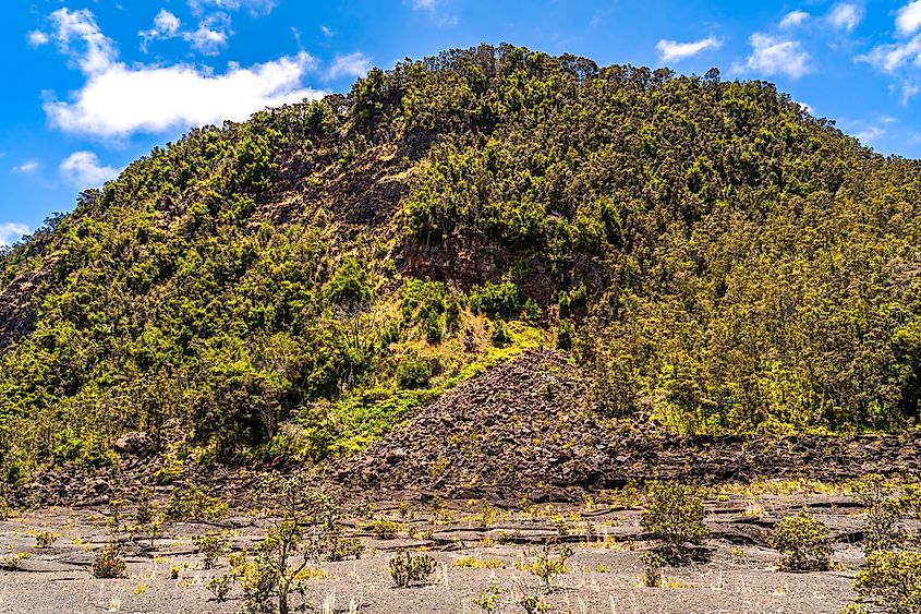The Kīlauea Iki trail in Hawaii Volcanoes National Park.
