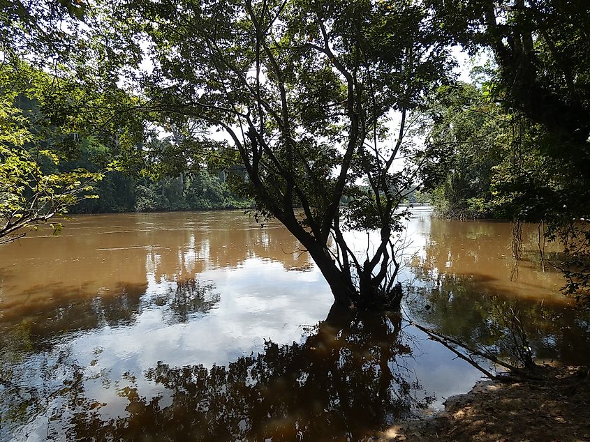 The Cavalla River