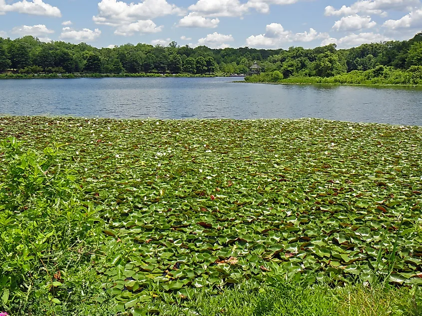 Lake Artemisia, Maryland