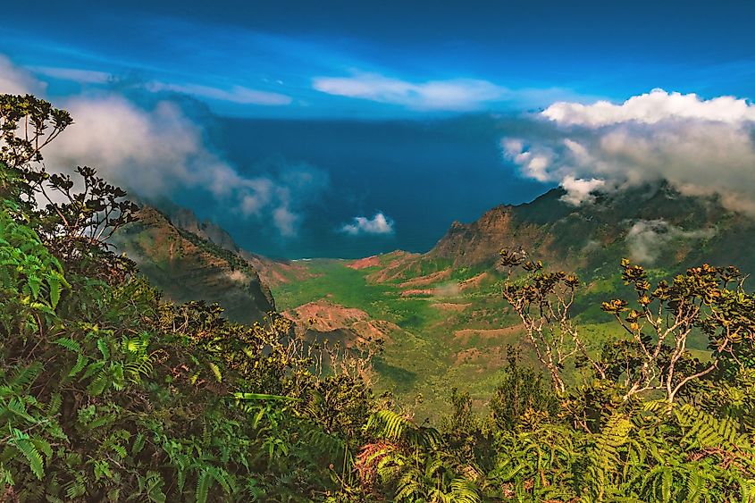 Looking over the Kalalau Valley from the Kalalau Lookout