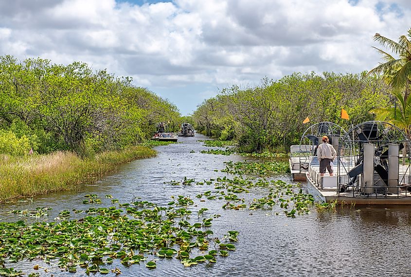 Airboats tours in Everglades National Park, Florida.