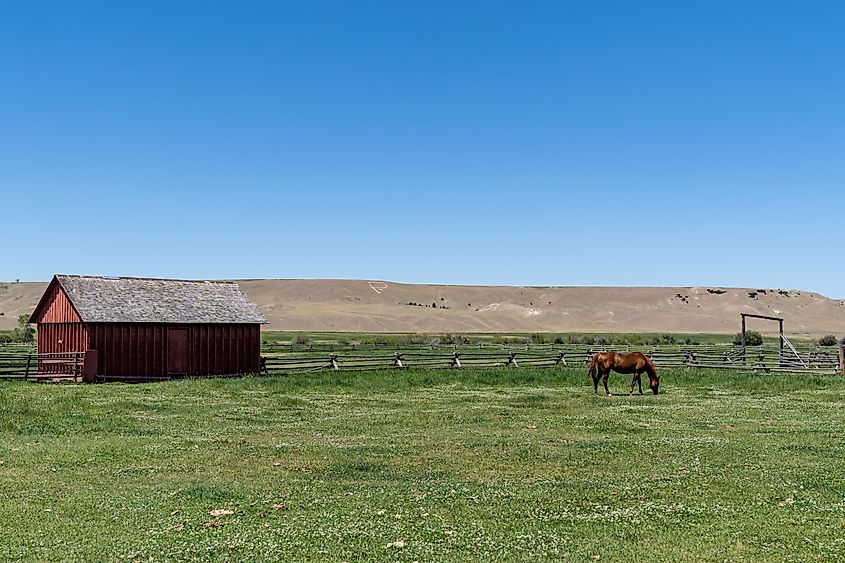 Barn and horse at the Grant-Kohrs National Historic Site Ranch in Deer Lodge, Montana.