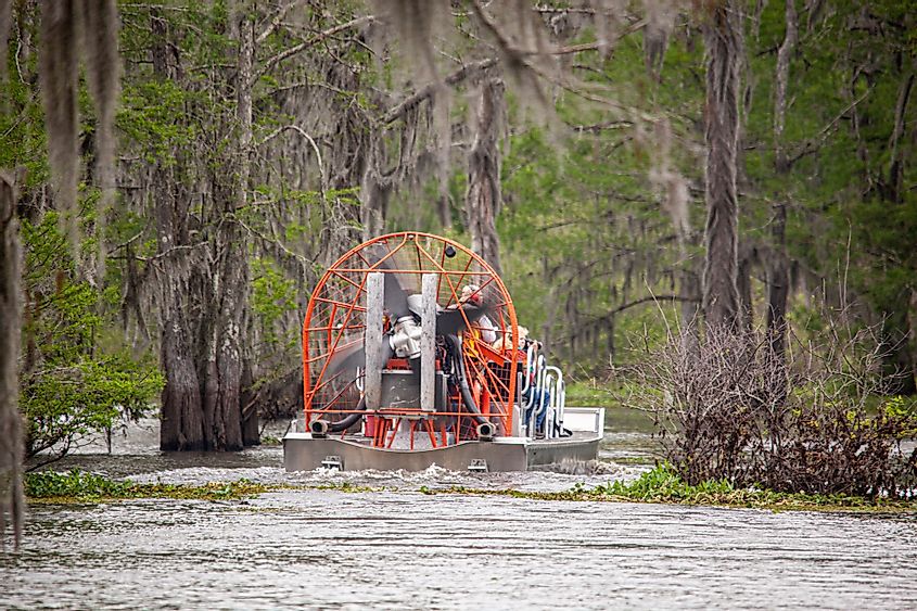 Airboat in the beautiful Henderson Swamp in Henderson