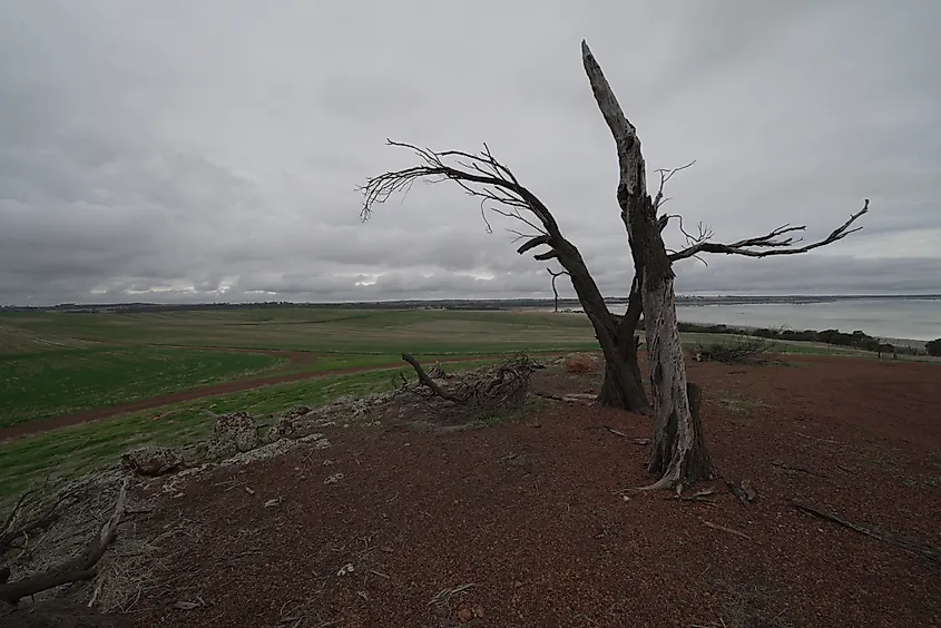 Lake Dumbleyung, Western Australia. 