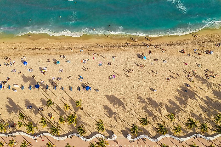 Fort Lauderdale Beach